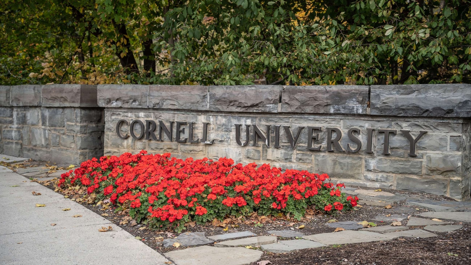 Prosecutors in upstate New York are defending their decision not to bring charges in 2024 after an alleged "gang rape" at a Cornell University fraternity.