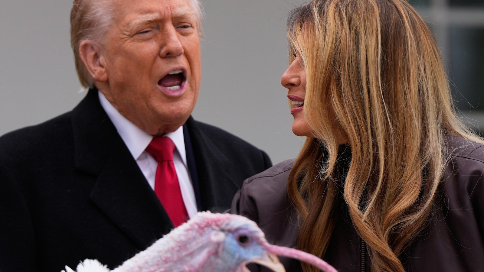Trump spares turkeys — but not his political opponents — at annual pardoning ceremony