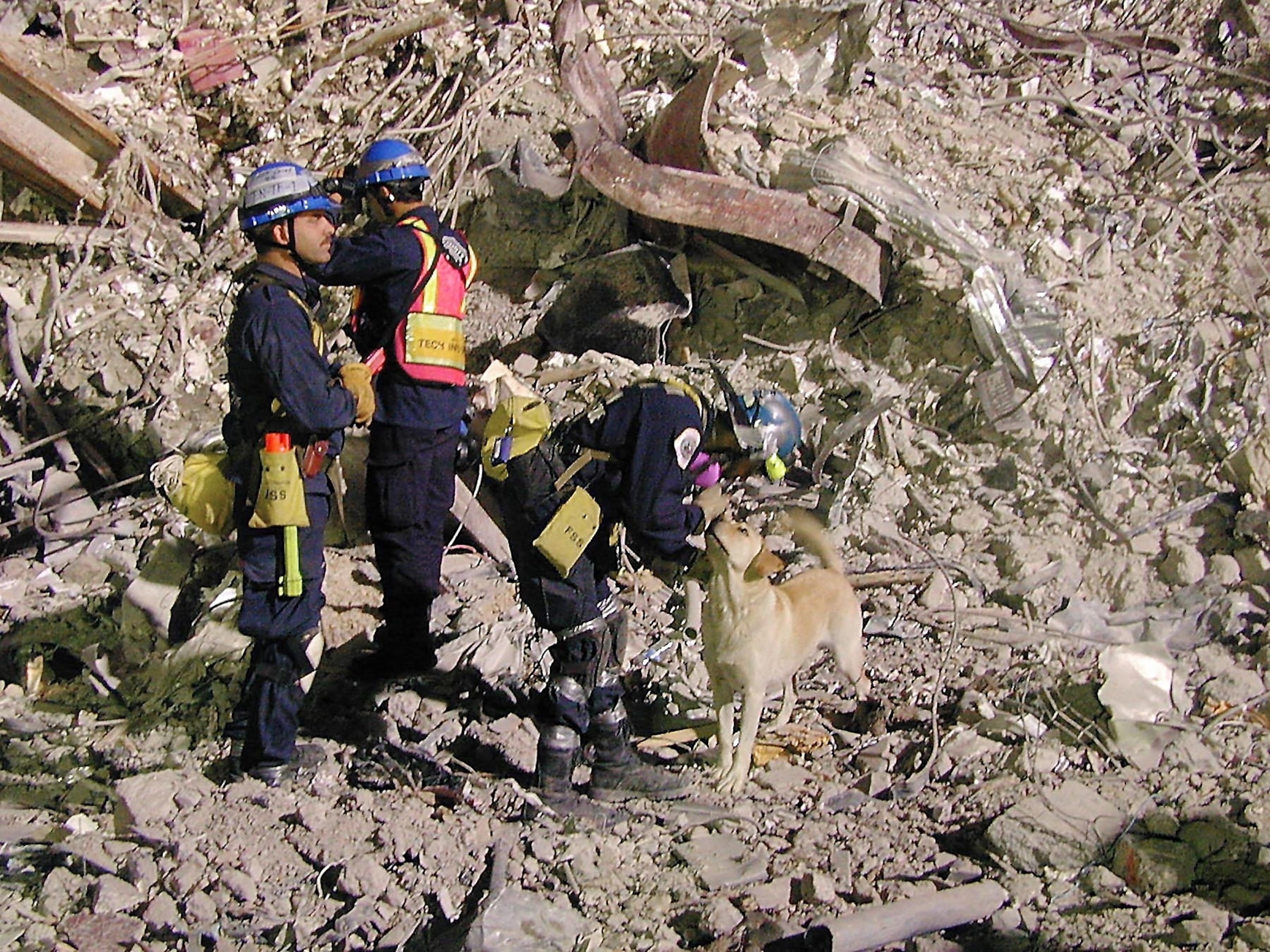 Image from article: Remembering the hero search-and-rescue dogs of 9/11, 25 years later Image from article: Remembering the hero search-and-rescue dogs of 9/11, 25 years later