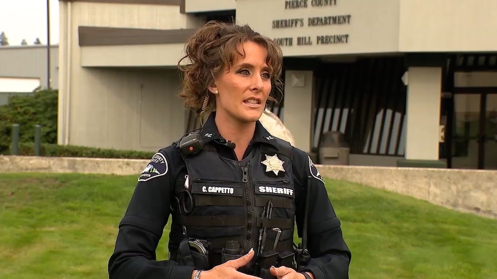 Video Washington teen arrested for school shooting threats - ABC News