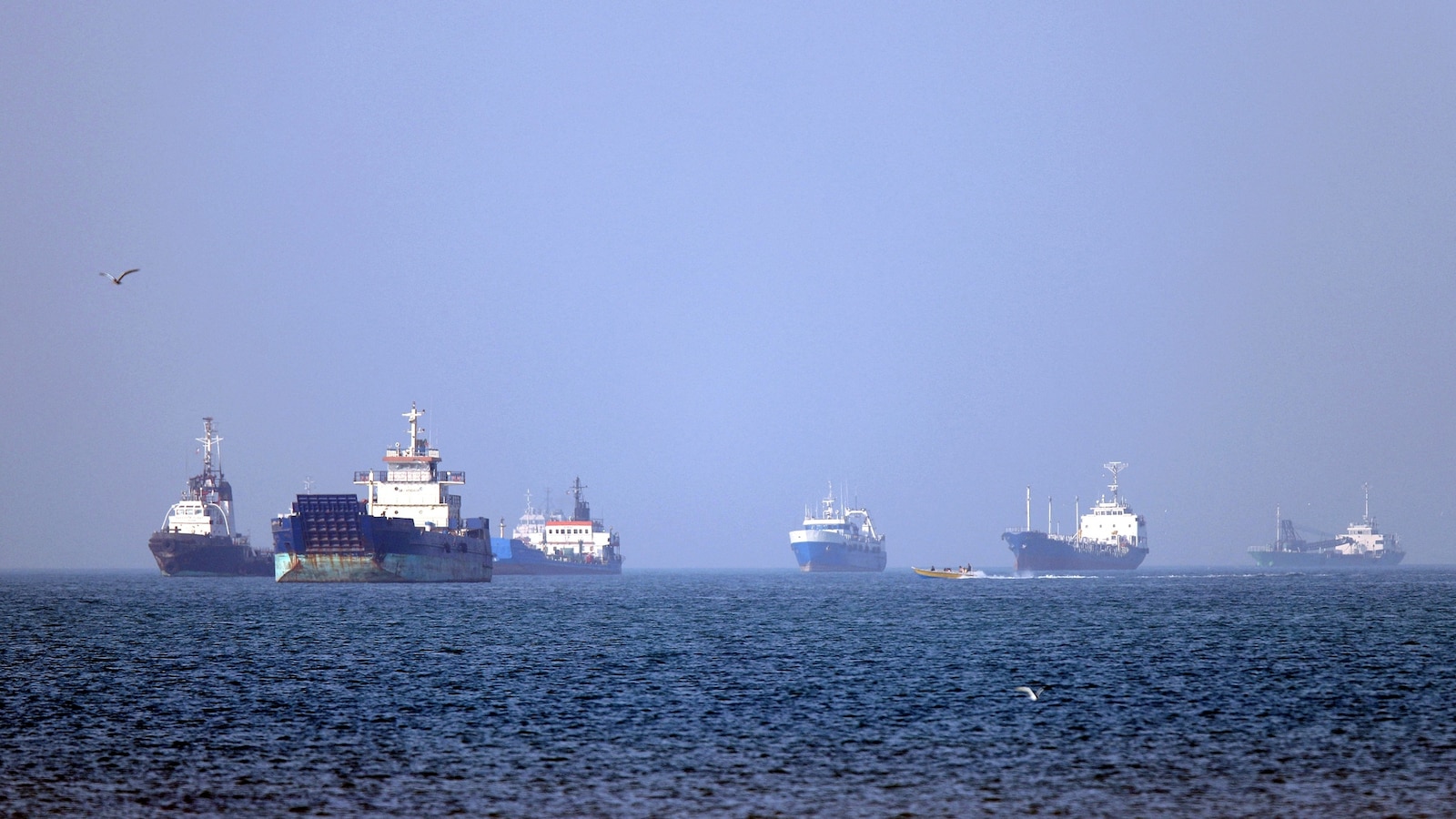 Iran live update: Trump says 'Project Freedom' in Strait of Hormuz paused