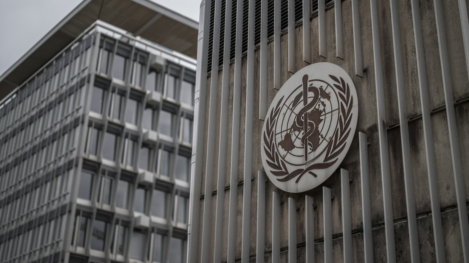 Possible person-to-person swine flu case reported in Spain. Should we be concerned?