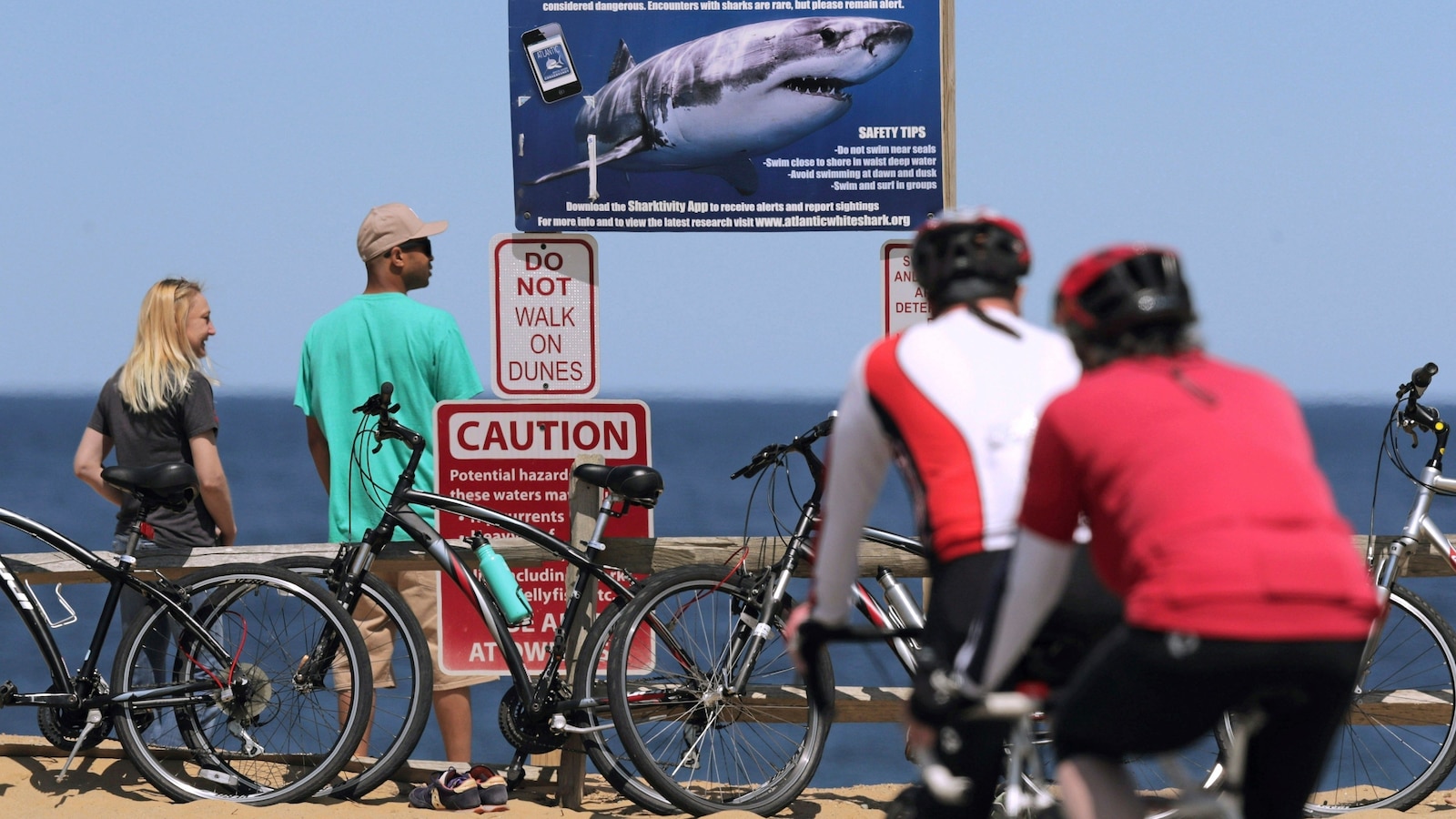 Shark attack on Alabama teen inspires the start of a national alert system