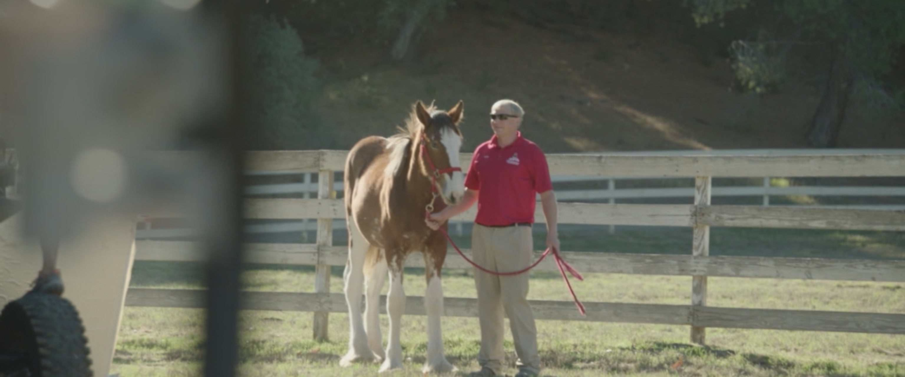 Budweiser unveils Super Bowl LX commercial starring 'American Icons' - ABC  News