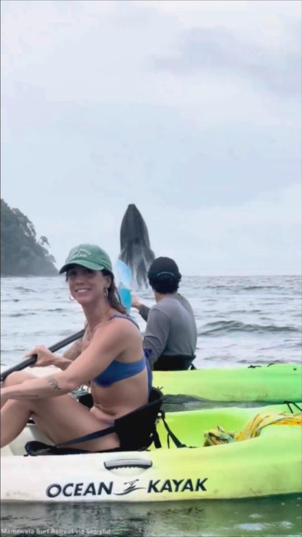NextImg:Video Breaching whales awe kayakers