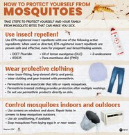 Drain Dress Defend The Simple Steps Recommended To Keep Mosquitoes Drain Dress Defend The Simple Steps Recommended To Keep Mosquitoes