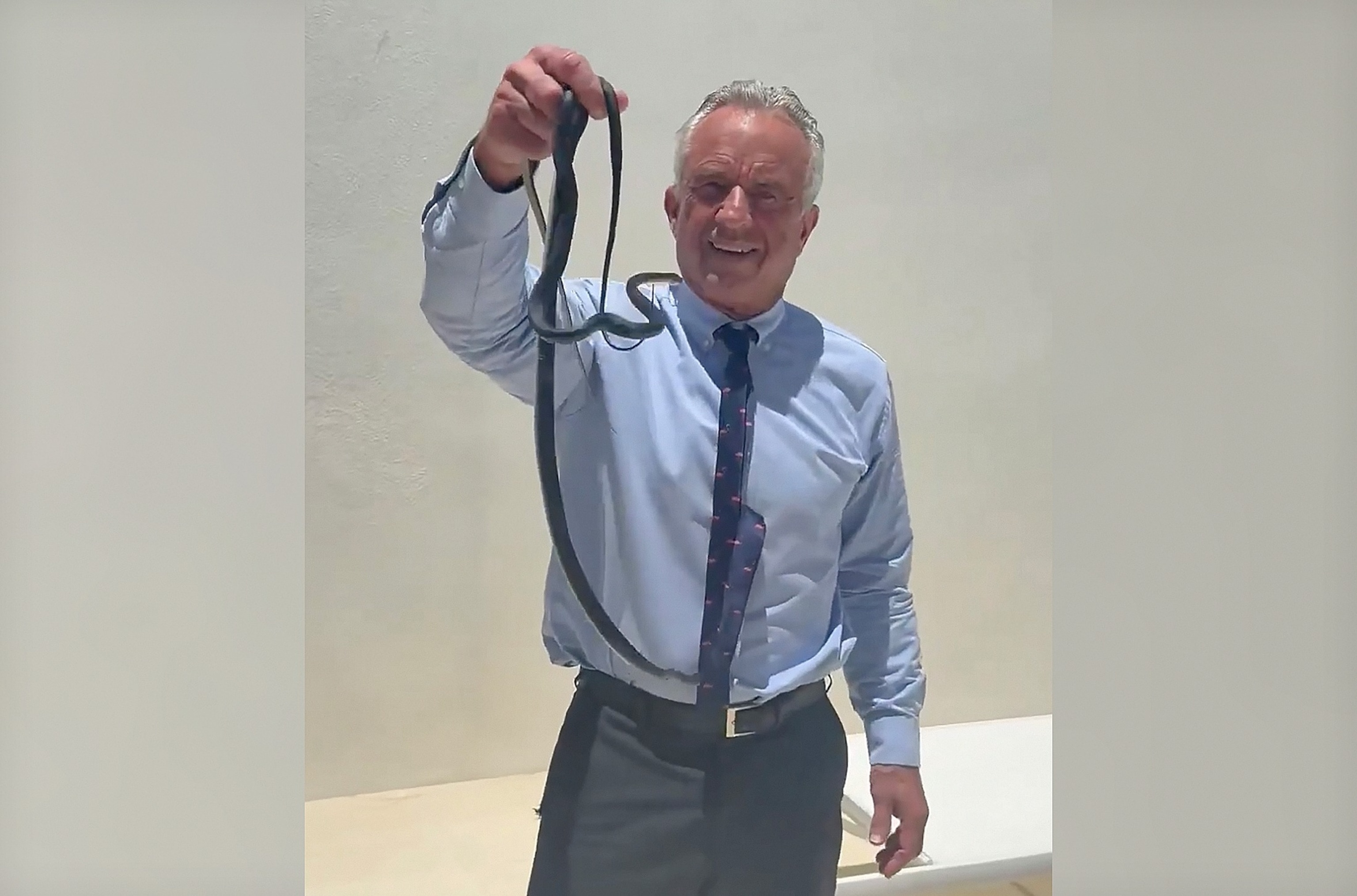 Robert F. Kennedy Jr. captures pair of snakes in viral video