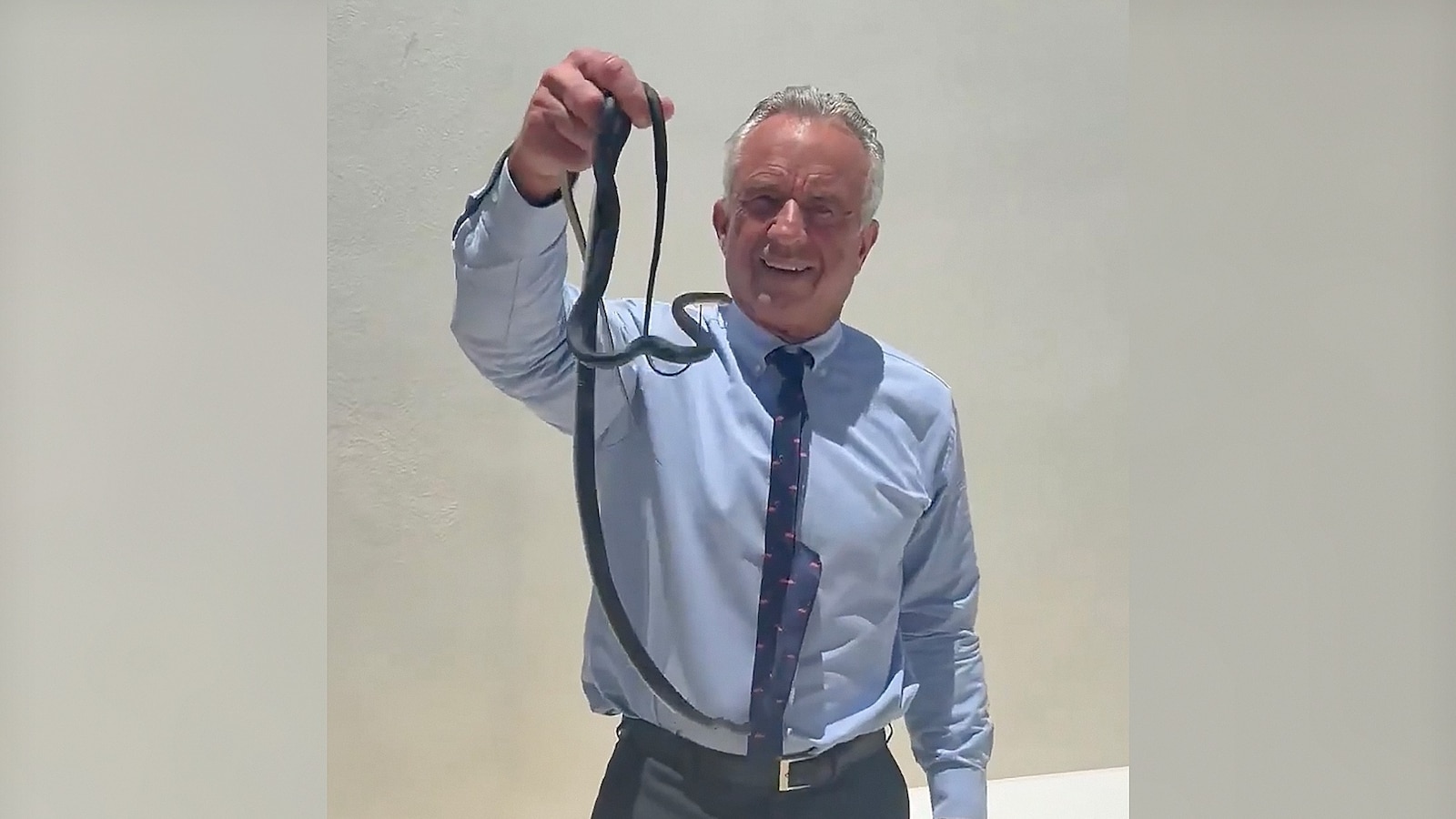 Robert F. Kennedy Jr. captures pair of snakes in viral video