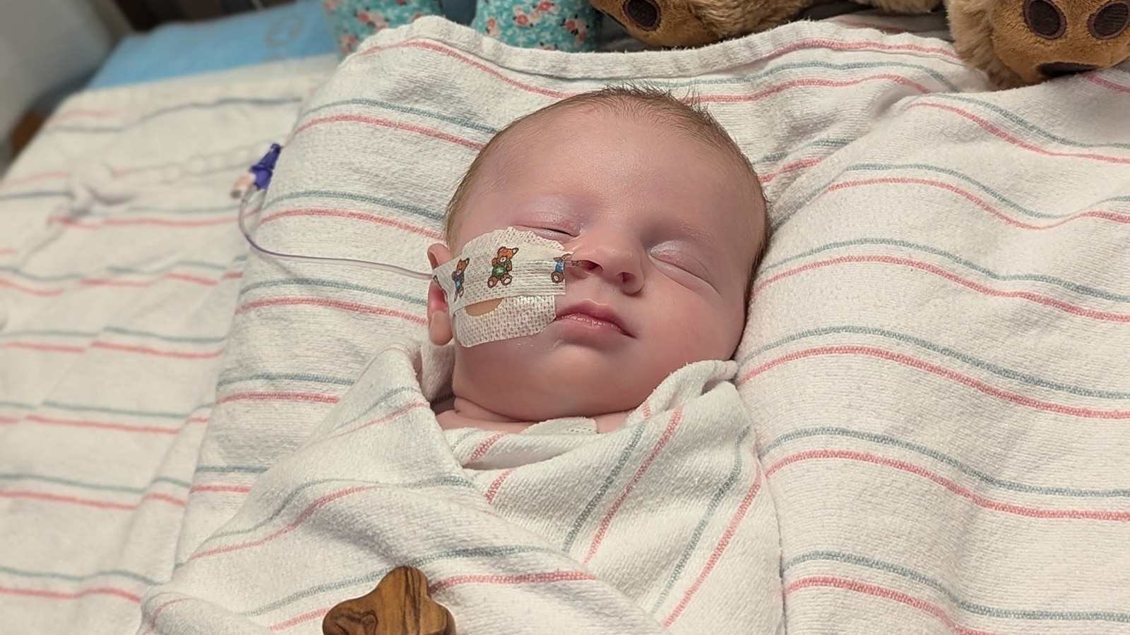 Mom says infant may have rare Powassan virus tick-borne disease