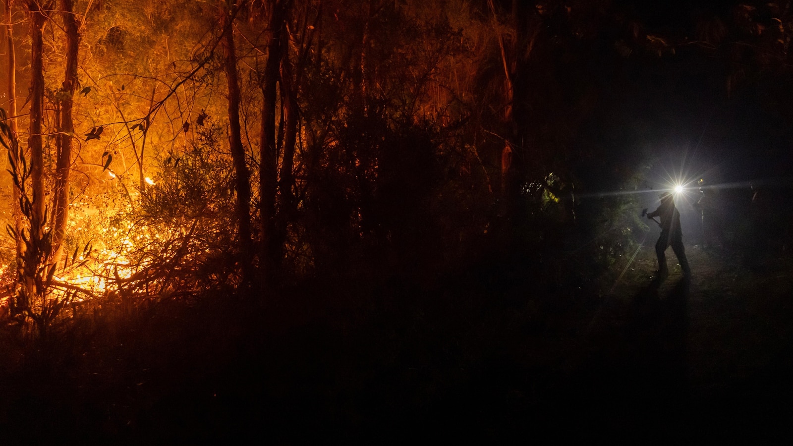 Защо горските пожари в Чили се разпространяват по-бързо и горят по-горещо