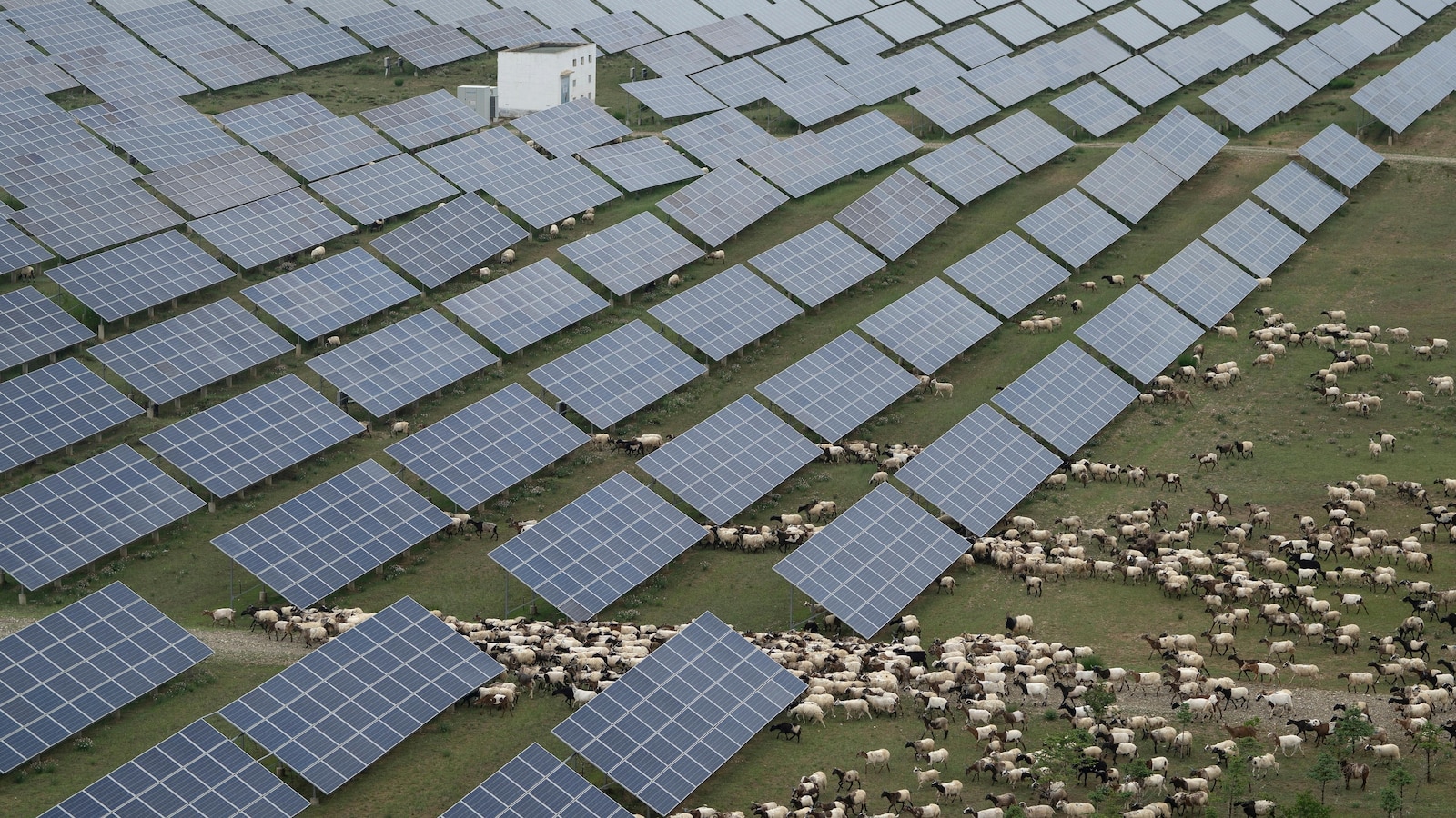  China rushes to build out solar, emissions edge downward