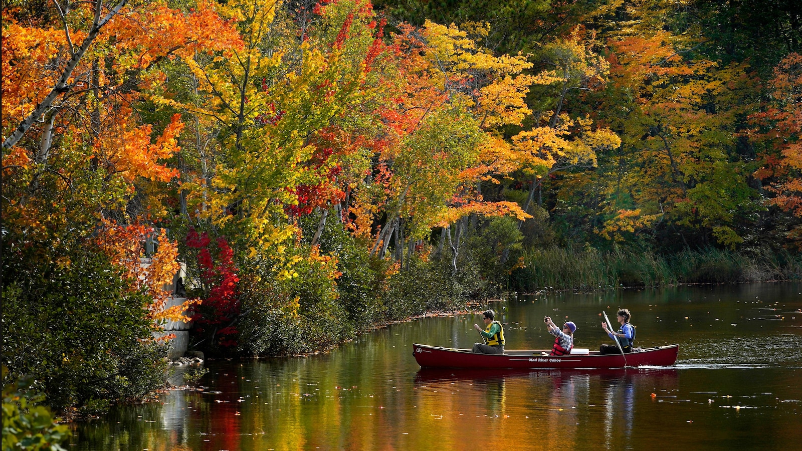 Day and night get equal billing Monday as fall equinox arrives. Here’s what to know