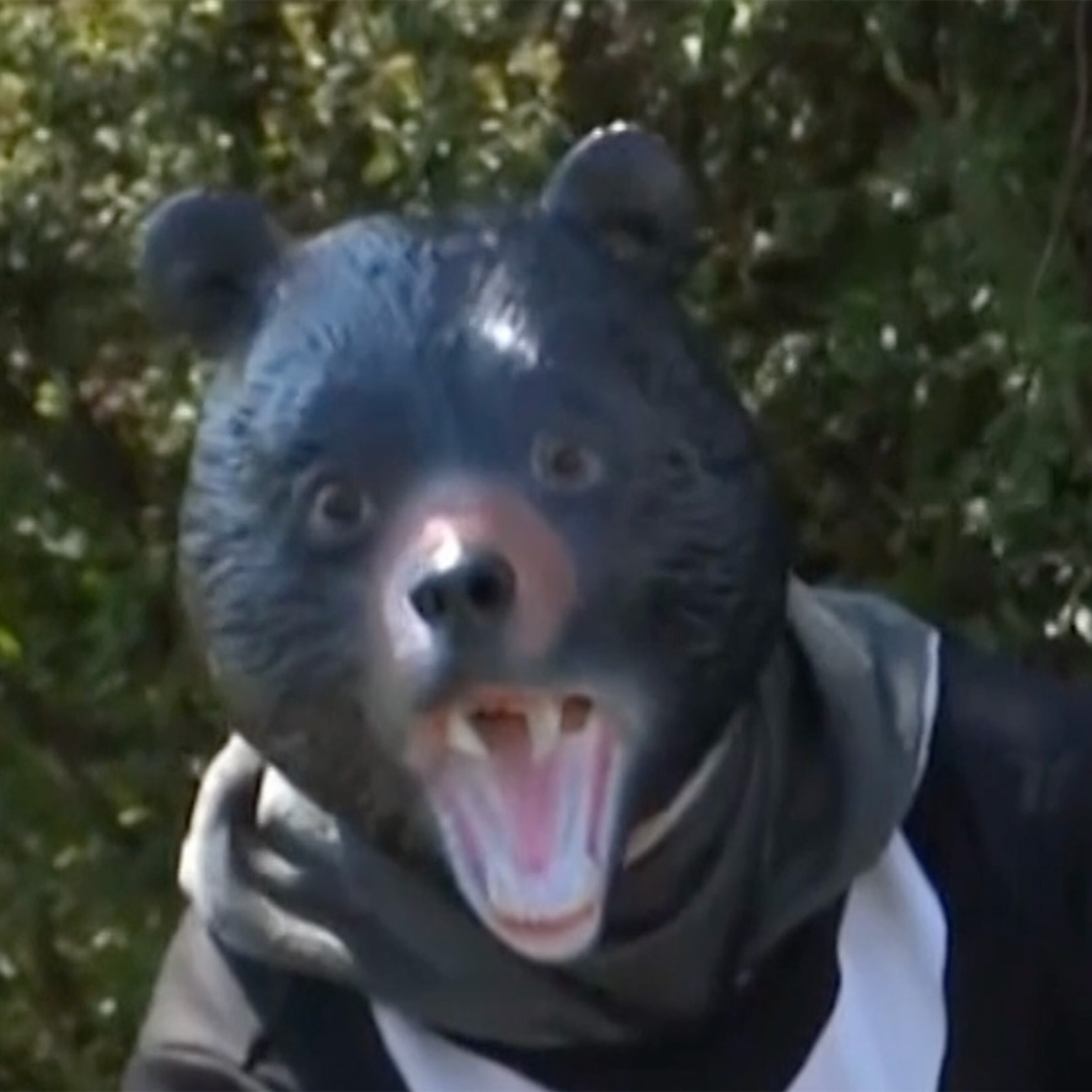 250724_abc_soc_bear_hpMain_squ
