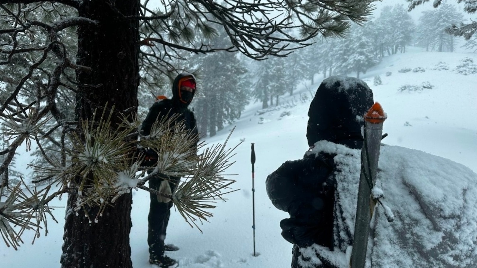 22-year-old woman goes missing on hike during historic Southern California storm