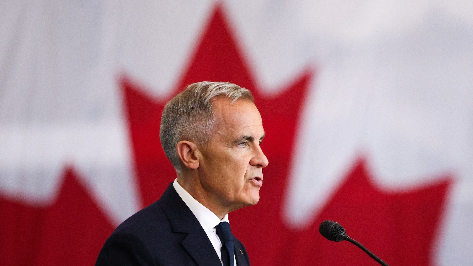 In the wake of American tariffs on Canadian goods and threats from President Trump to make Canada the 51st state, 