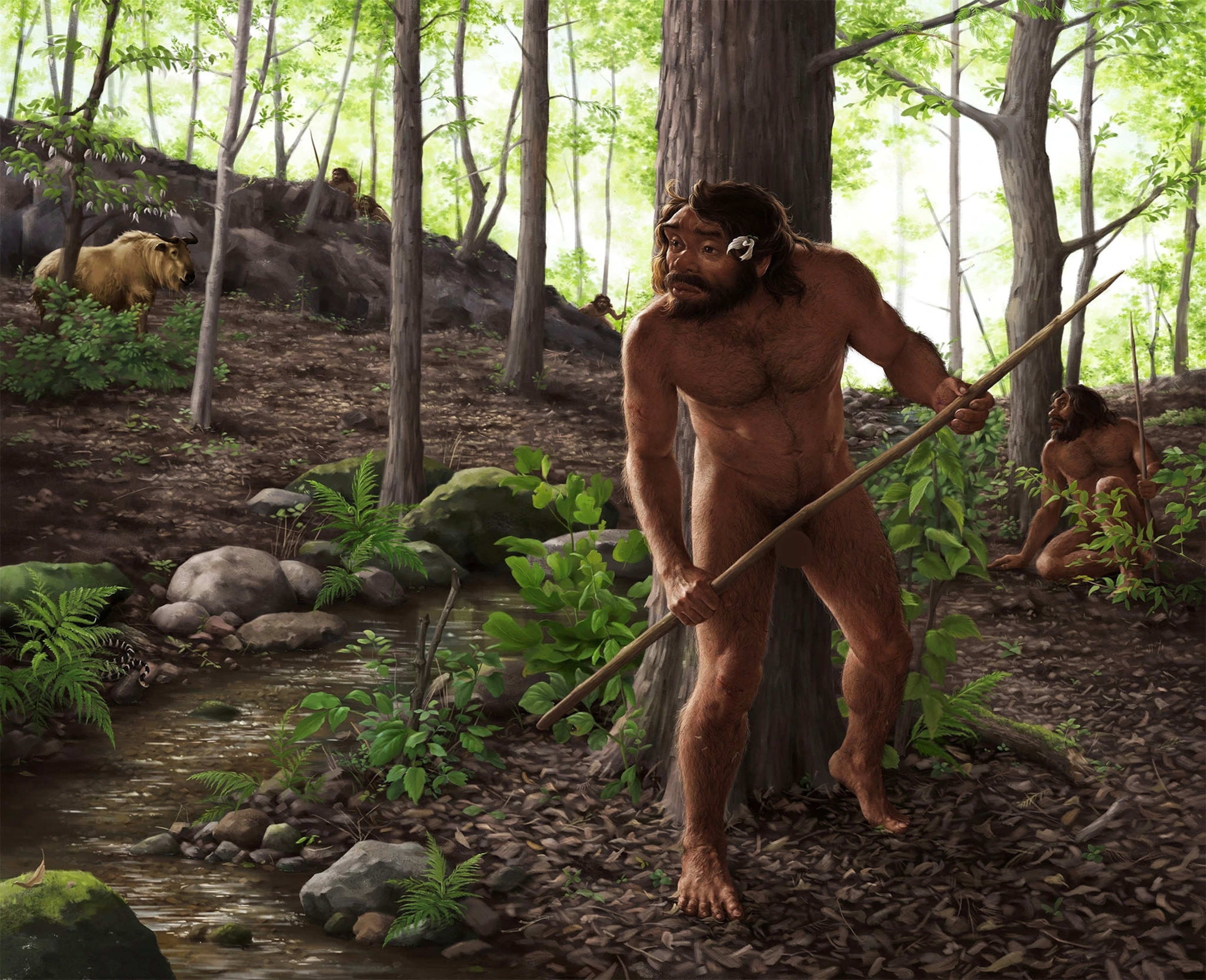 PHOTO: This artist's impression shows a group of archaic humans hunting in a forest roughly 1 million years ago in China's Hubei Province.