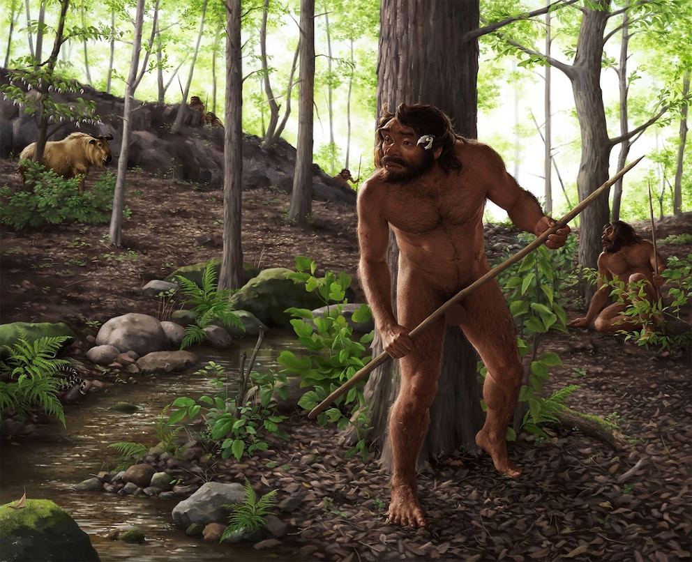 PHOTO: This artist's impression shows a group of archaic humans hunting in a forest roughly 1 million years ago in China's Hubei Province. 