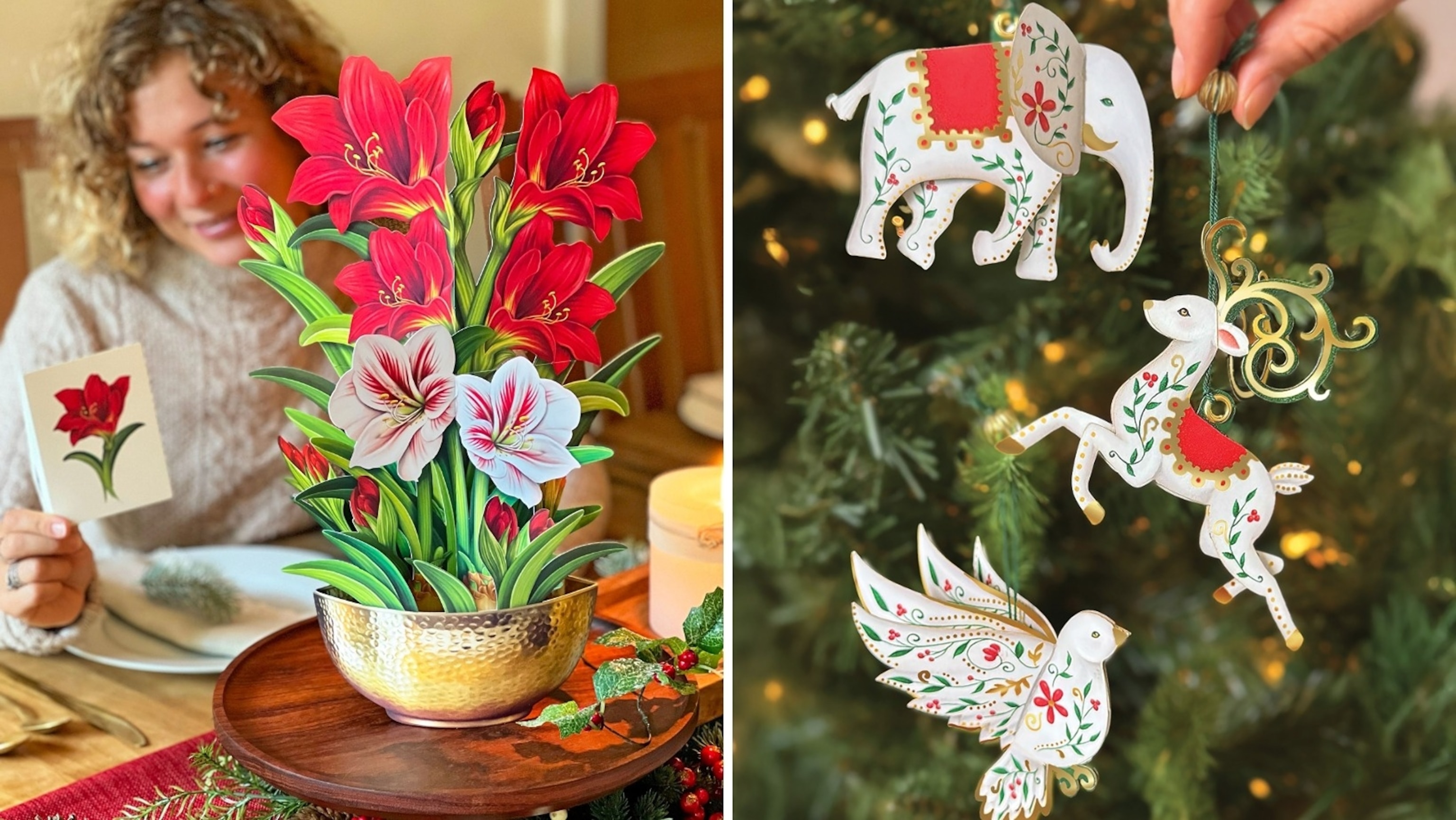 FreshCut Paper: Paper Pop-up Creations