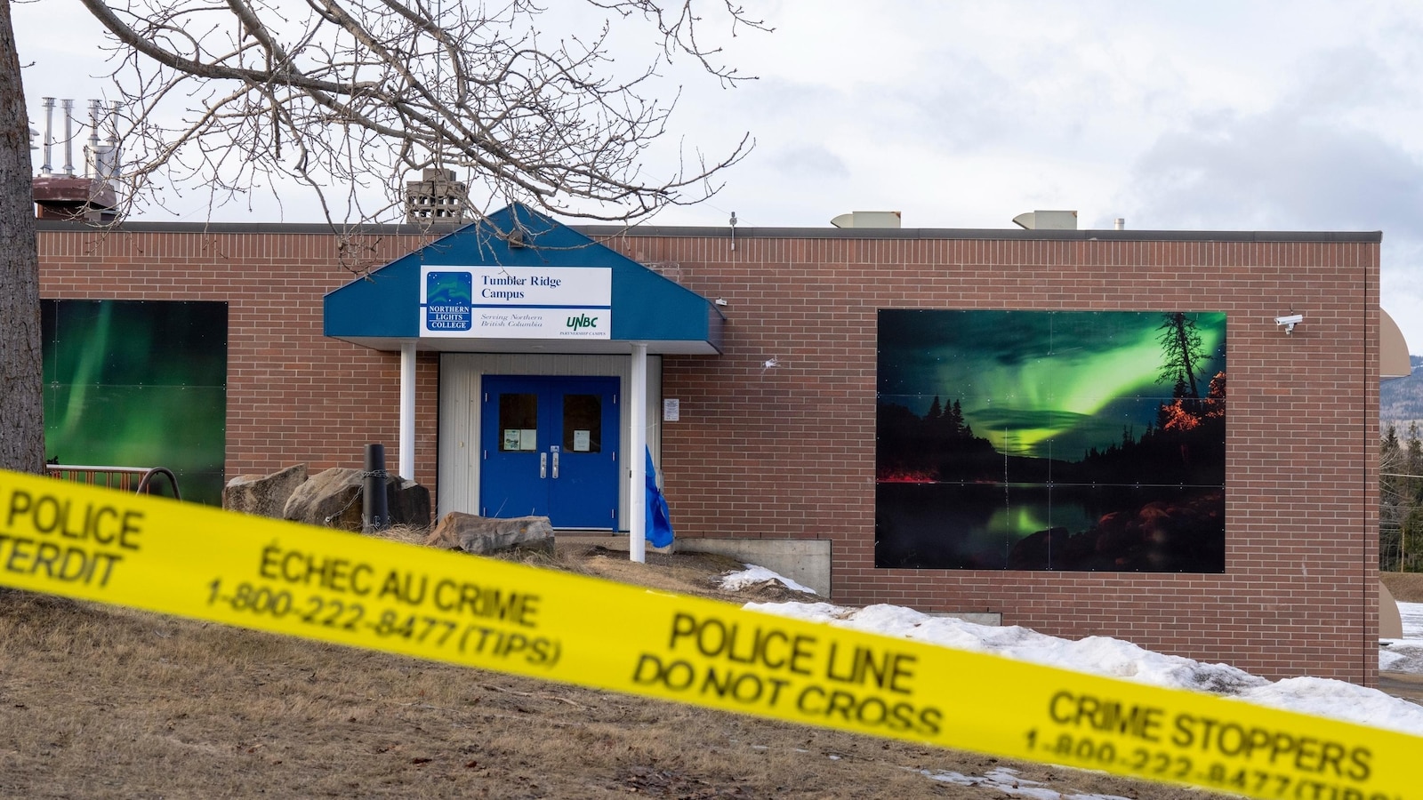 OpenAI says Canada mass shooter evaded ban with second ChatGPT account