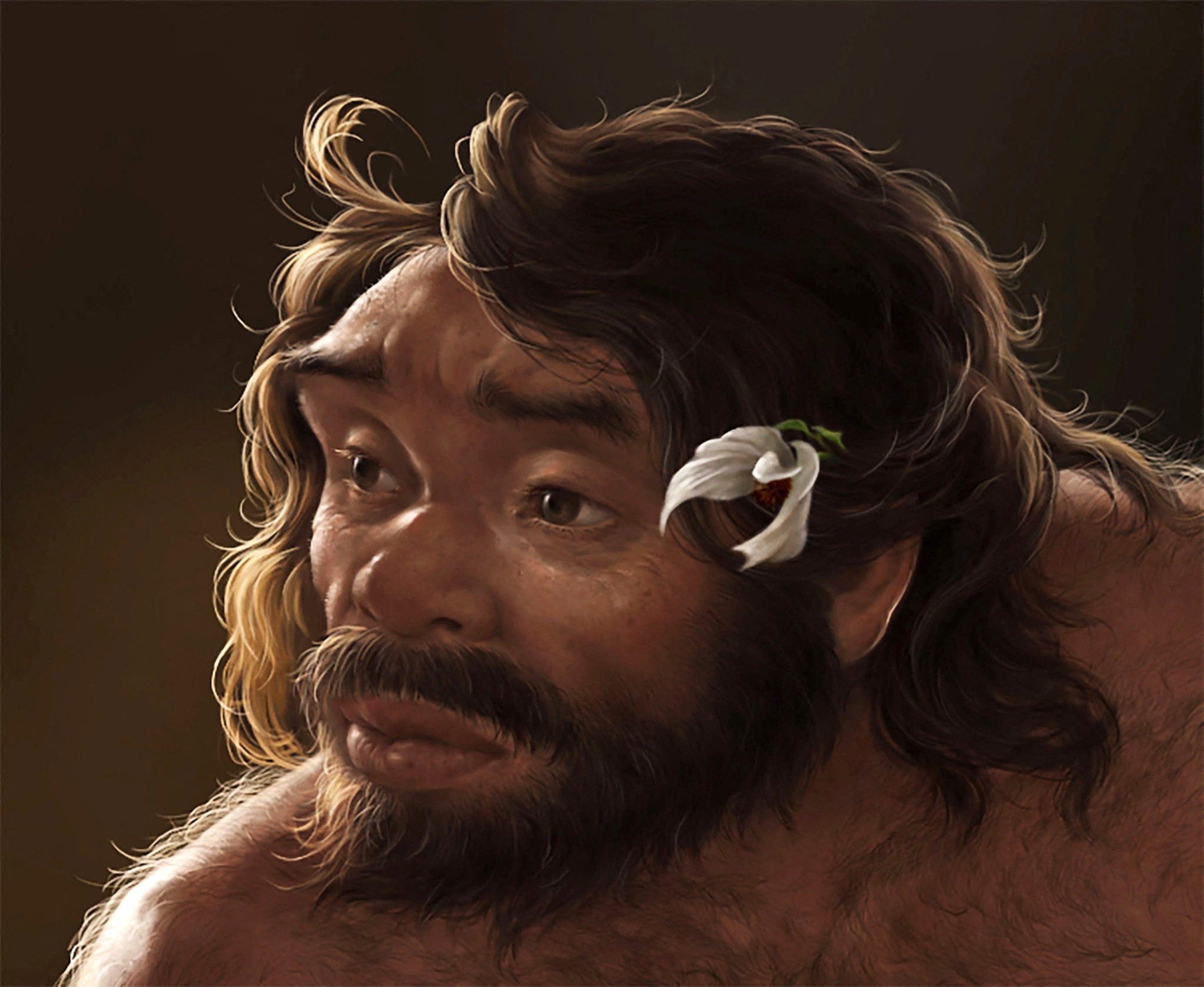 PHOTO: This artist's impression shows the head of an adult male individual who lived roughly 1 million years ago in China's Hubei Province, based on the digital reconstruction of a fossilized archaic human skull, called Yunxian 2.