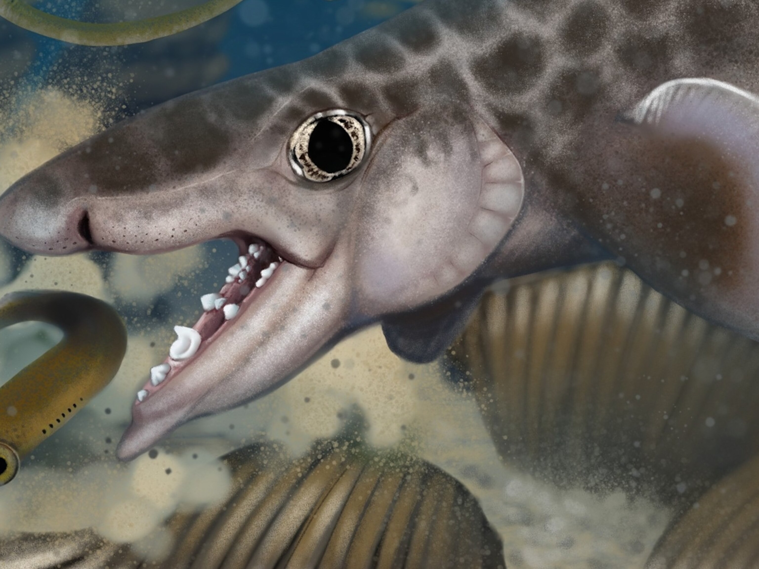 New species of ancient shark discovered at Mammoth Cave National