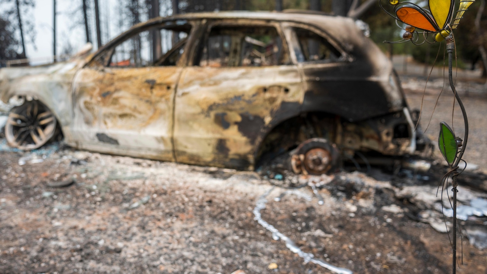  Thousands battle Western wildfires as smoke puts millions under air quality alerts