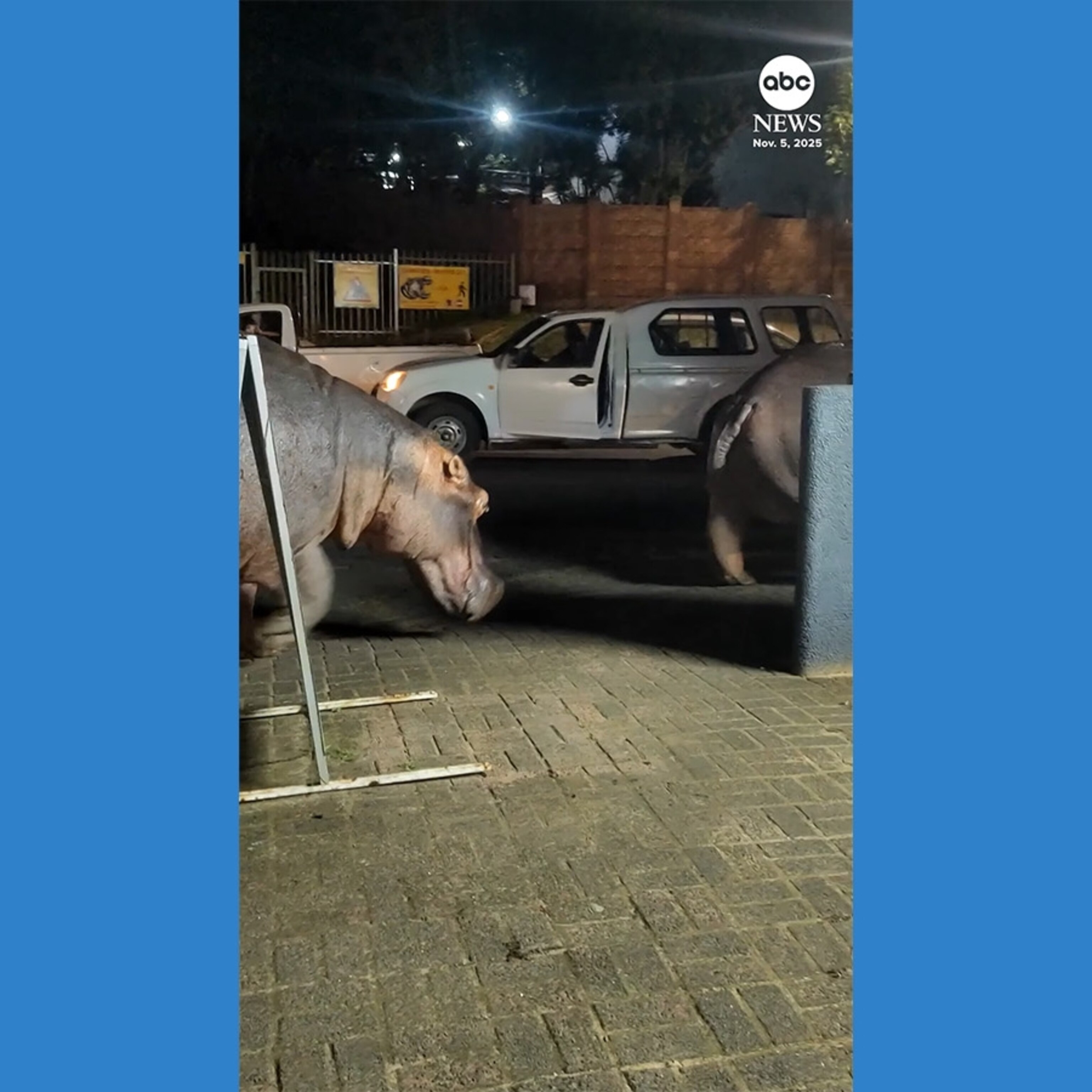 251111_abc_social_HIPPO_TAKEOV