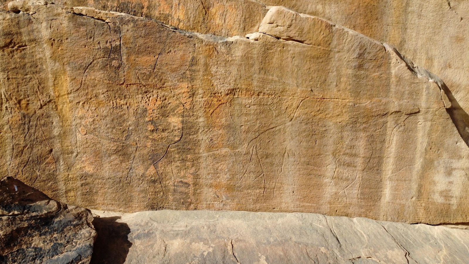 12,000-Year-Old Life-Size Animal Rock Carvings Discovered Across Saudi Arabian Desert