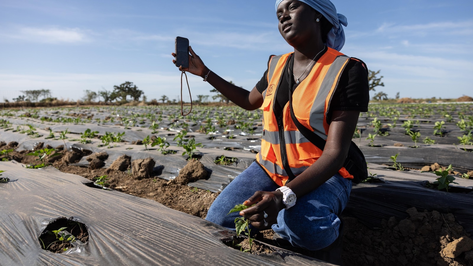 Some West African farmers turn to TikTok as part of agriculture's changing image