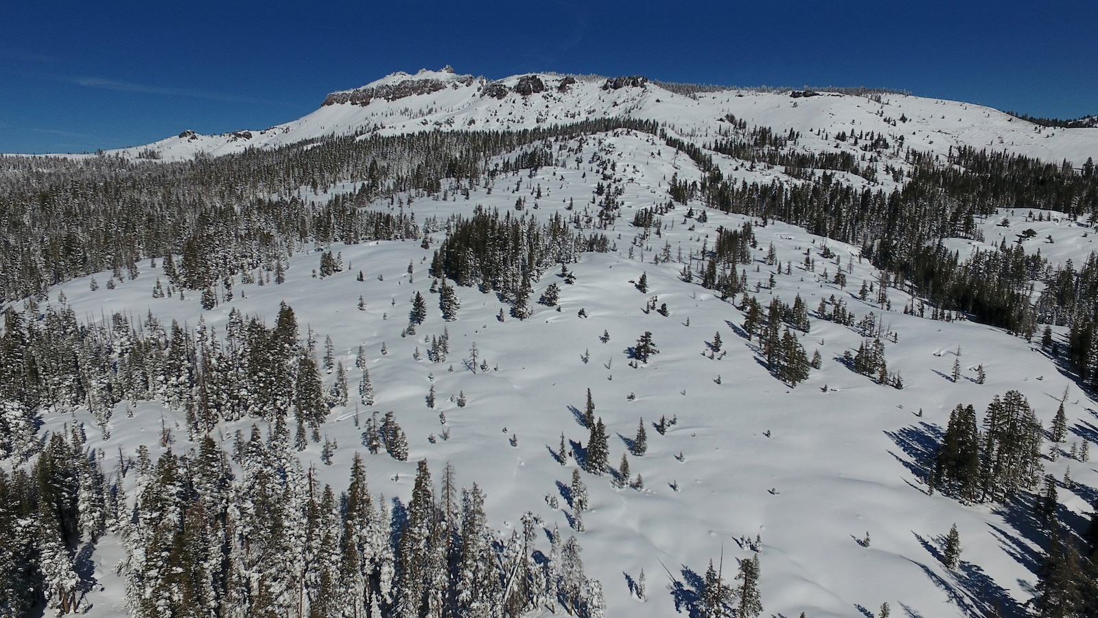 Backcountry guide company faces $150K in fines after states deadliest avalanche Backcountry guide company faces $150K in fines after states deadliest avalanche