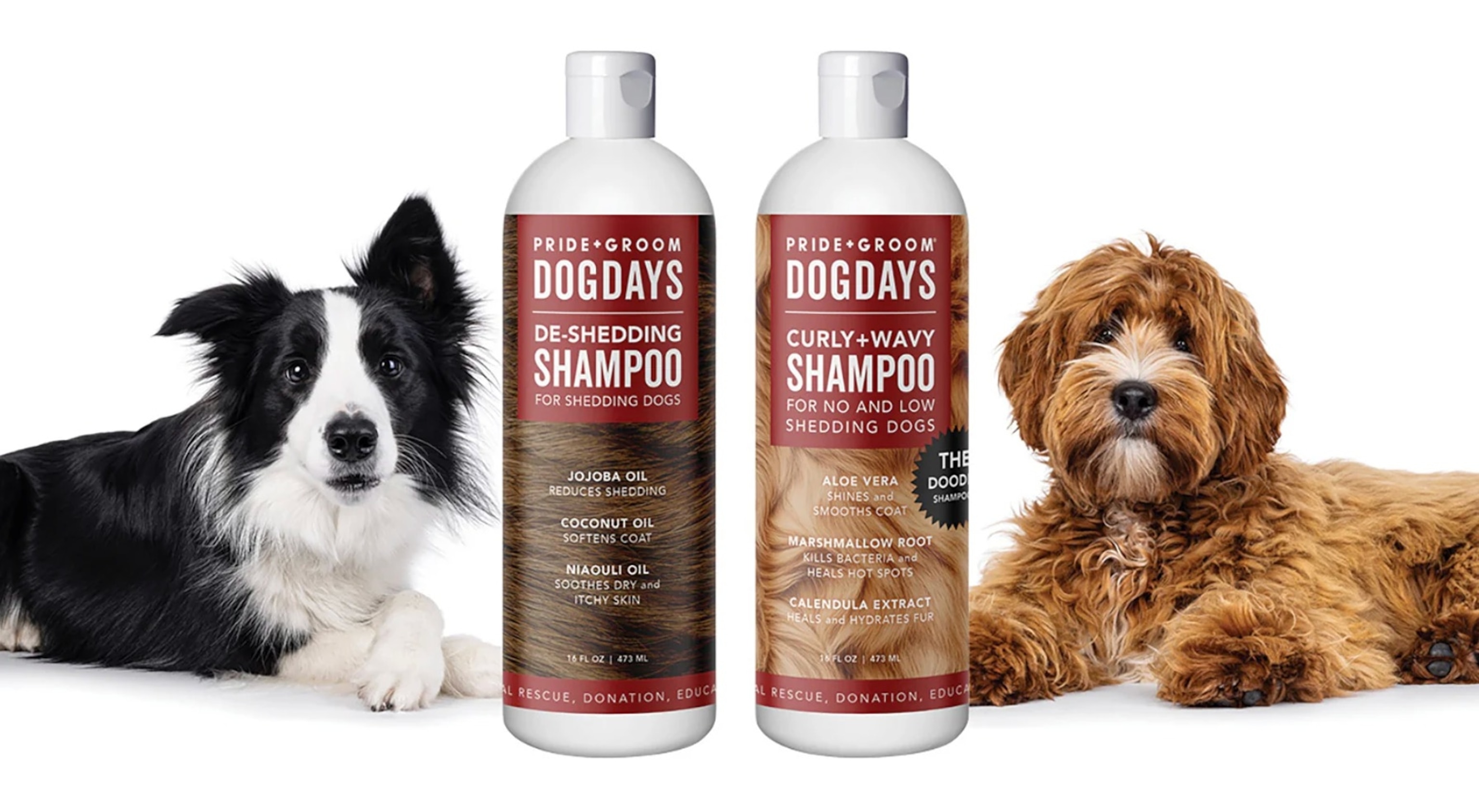 Pride+Groom: Grooming Care