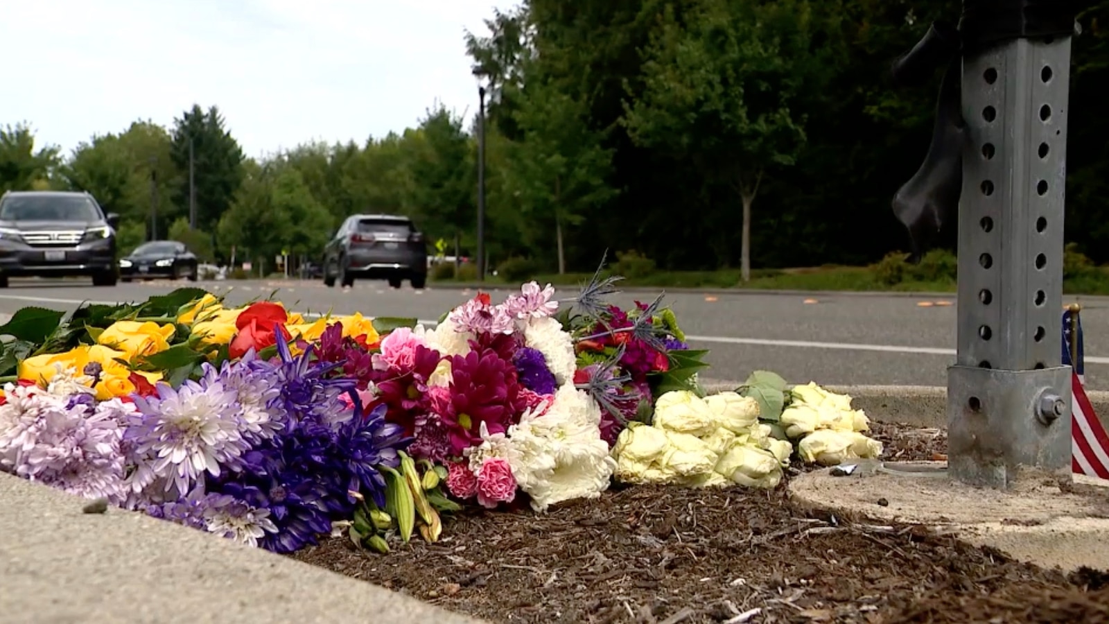 Costco worker charged with murder after admitting he ran colleague off the road ...