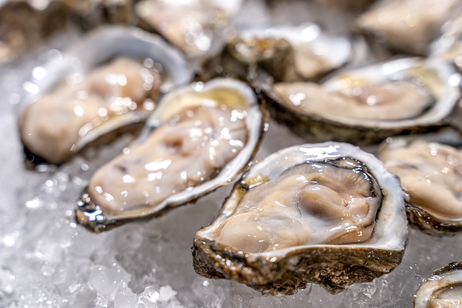 Raw oysters linked to norovirus outbreak leaves at least 80 sickened in Los  Angeles - ABC News, image size:1500x1000