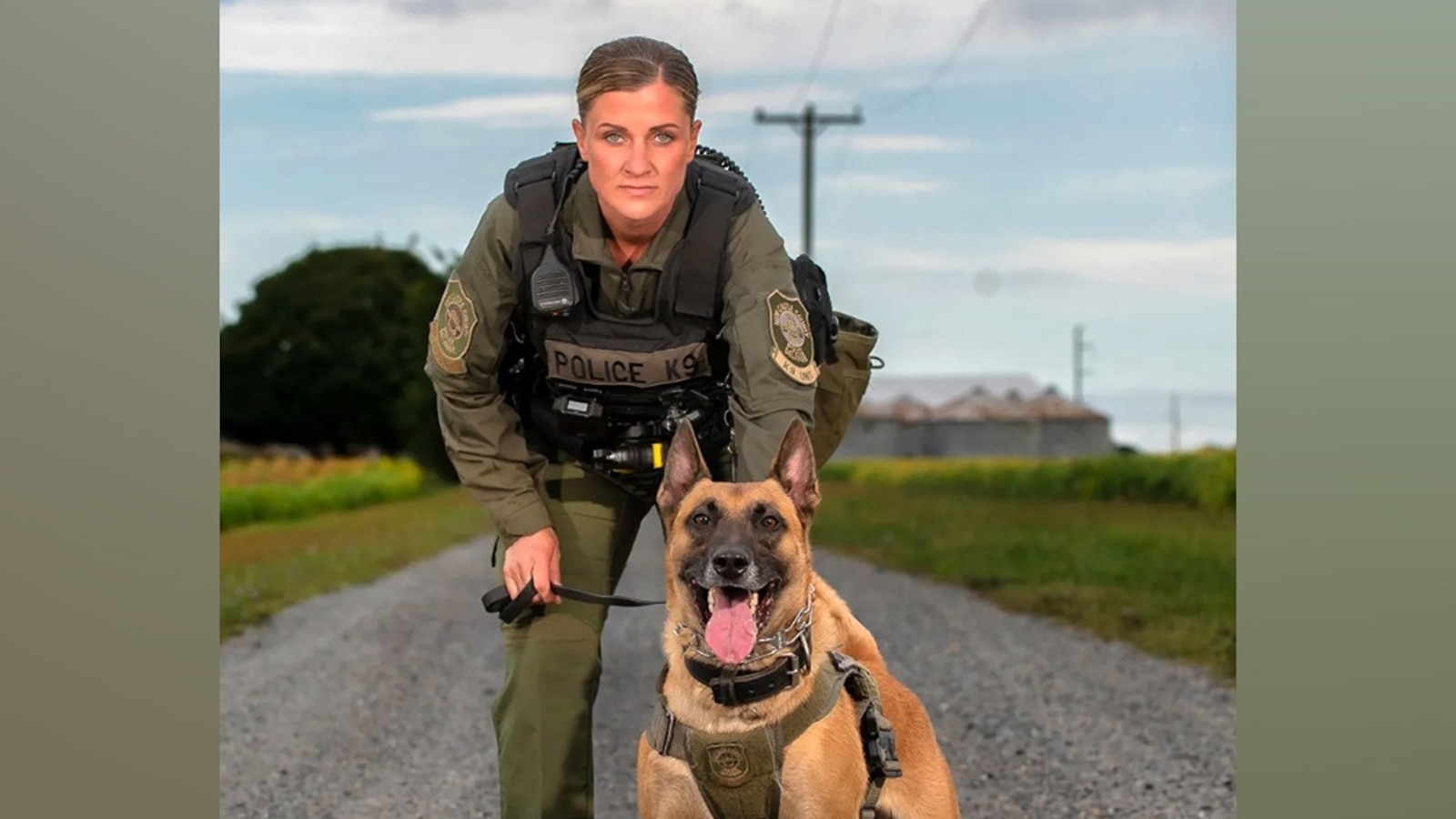 A K-9 assisted police in finding a missing nonverbal 6-year-old child with special needs in the woods of a Delaware state park, according to authorities.