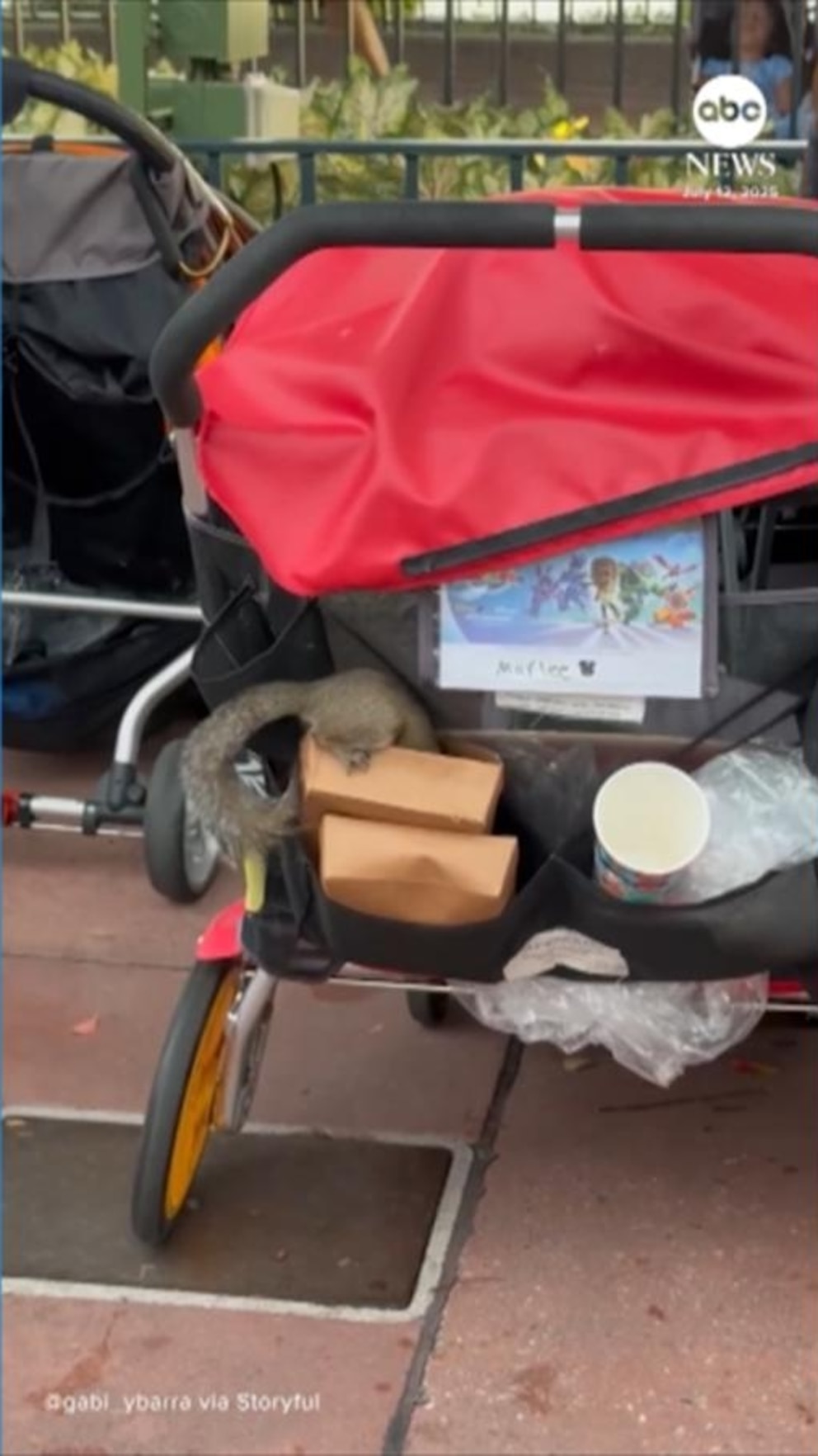 Video Stealthy squirrel steals chicken snack from stroller at EPCOT