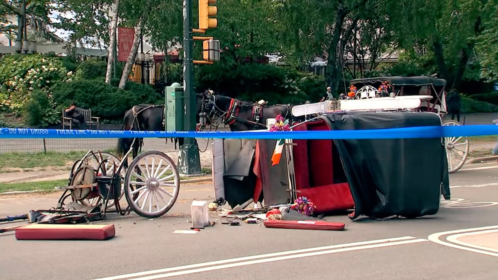 Central Park horse carriage rides temporarily suspended following death of tourist