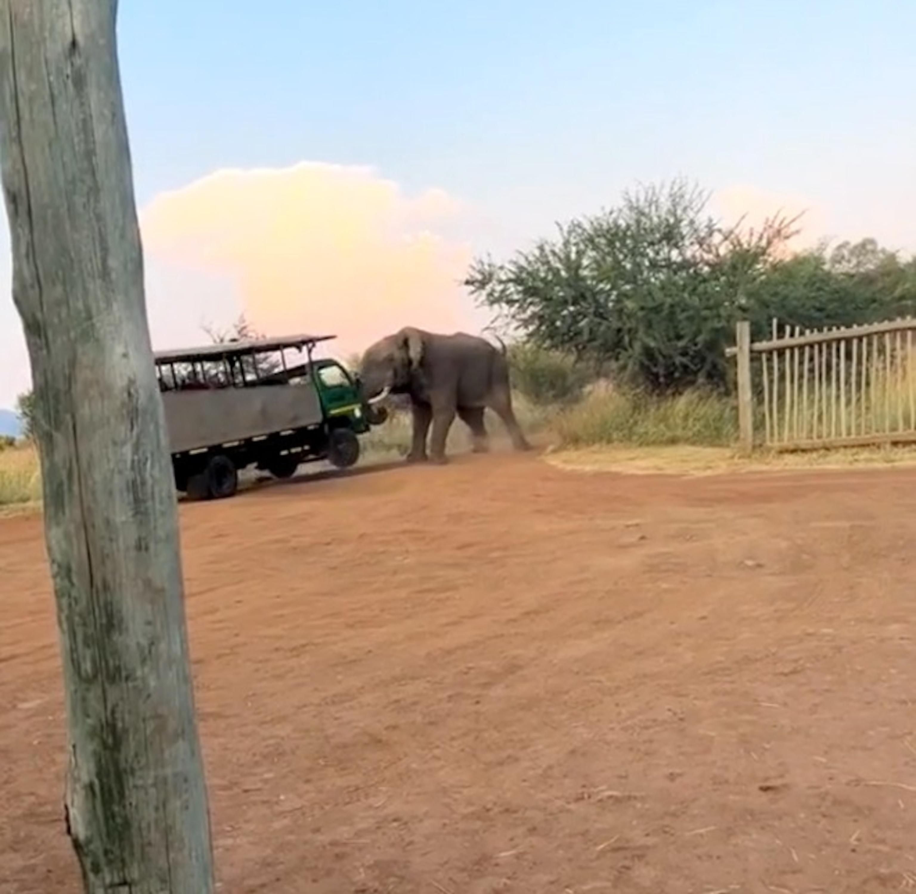 PHOTO: A large bull elephant appears to attack a safari truck at Pilanesberg National Park, March 18, 2024, in South Africa.