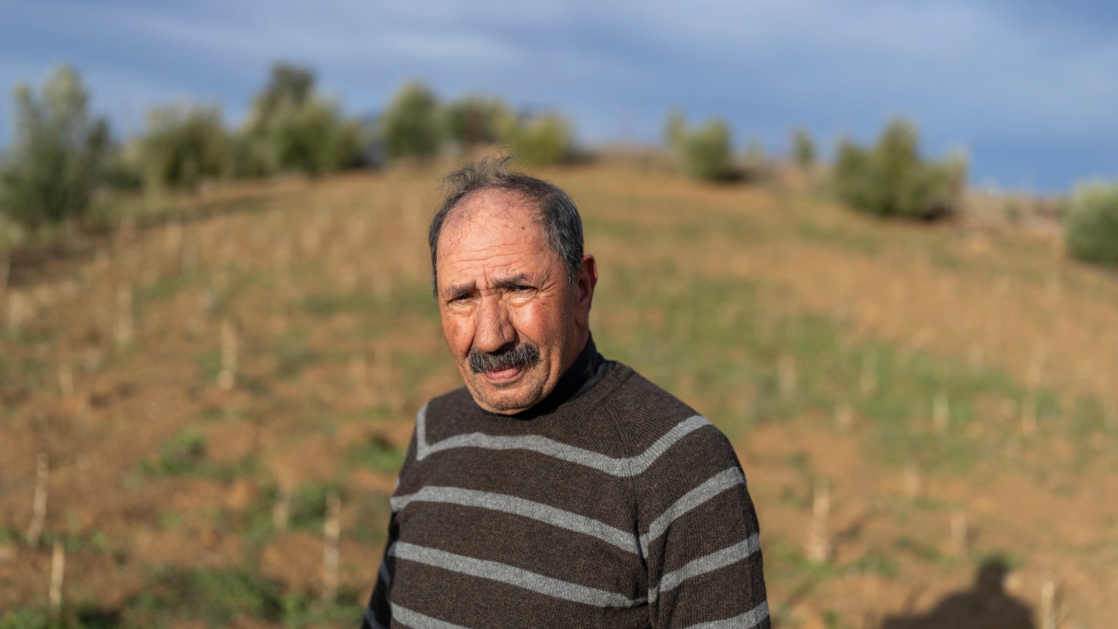 يهدف المغرب إلى تشجيع زراعة القنب بشكل قانوني والاستفادة من الطفرة العالمية