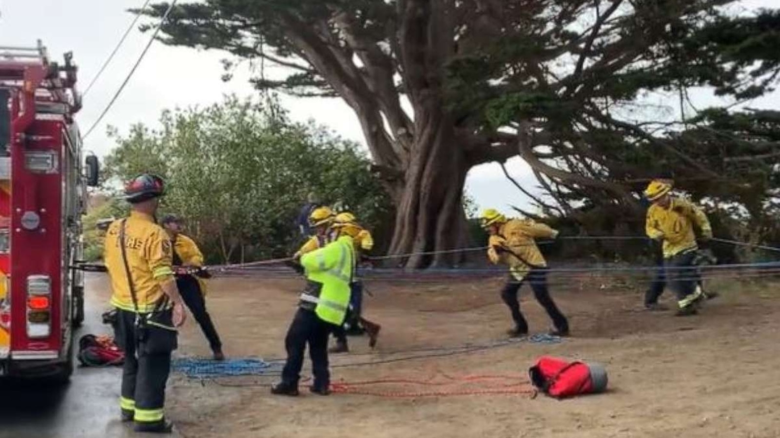 Man lucky to be alive after falling 100 feet off cliff when it crumbled ...