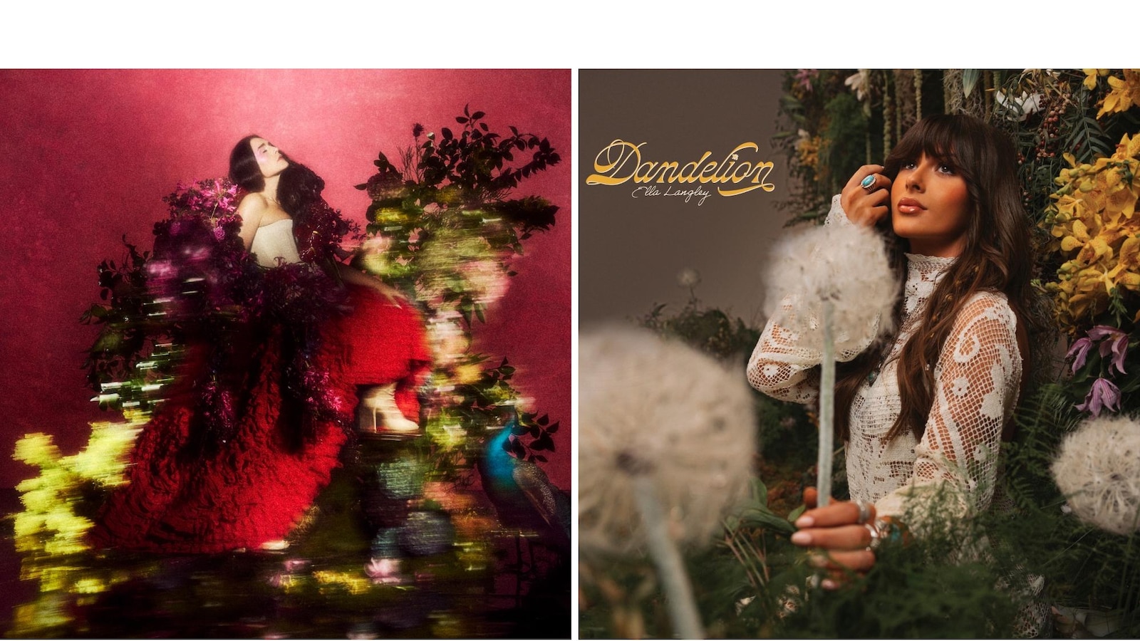 Wat te streamen: Sydney Sweeney, ‘Malcolm in the Middle’, Jonah Hill, ‘Hacks’