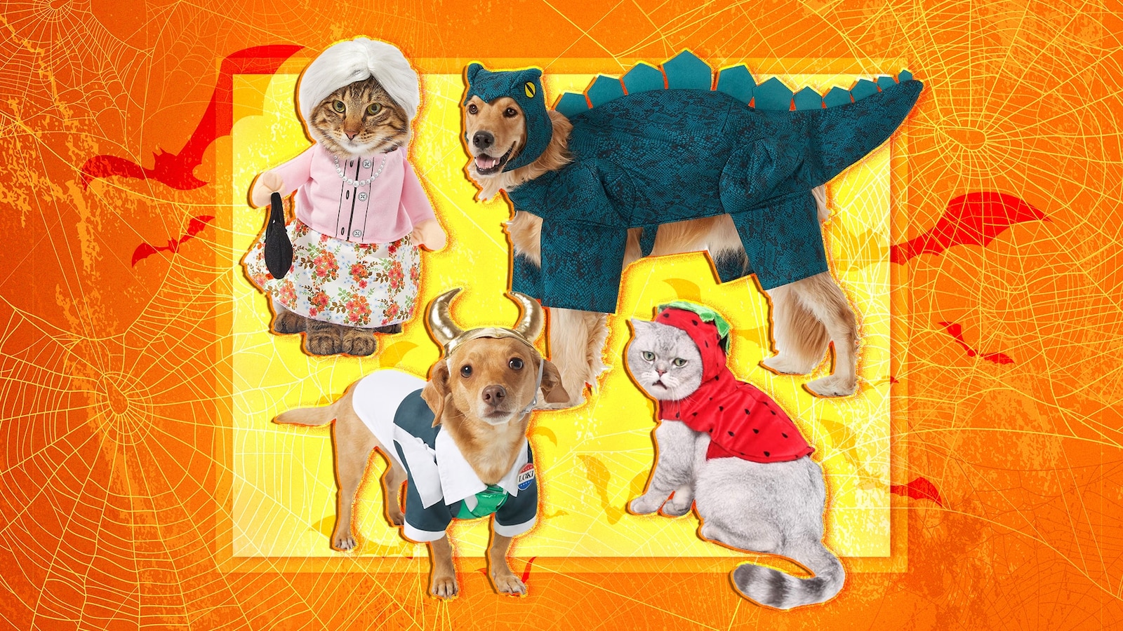 21 of the cutest Halloween costumes for cats and dogs - ABC News