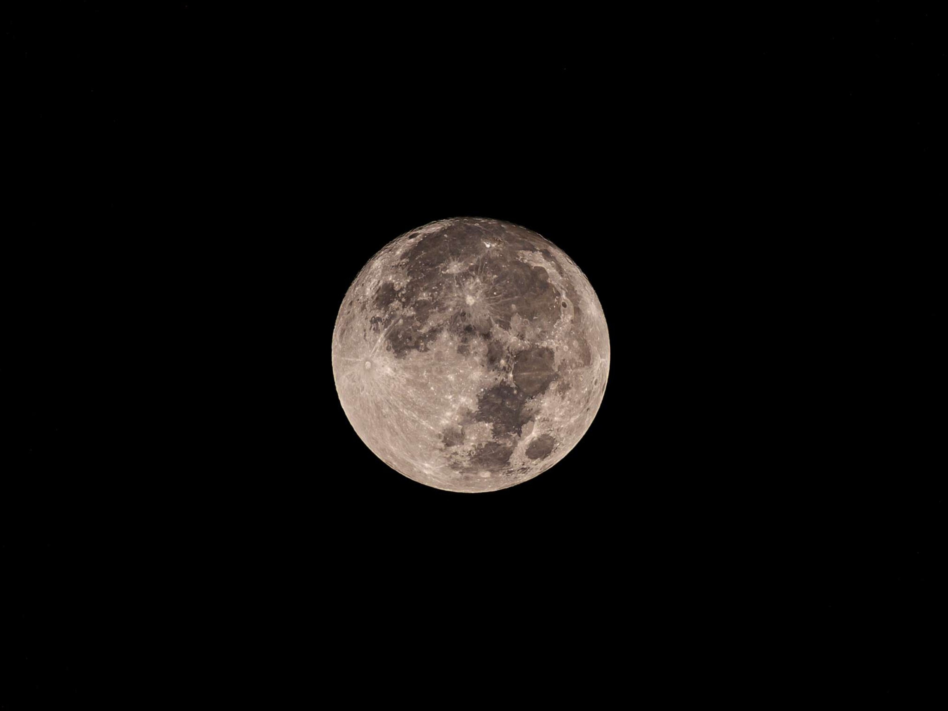 PHOTO: The ''Harvest Moon'' is seen through the gaps in the branches and leaves of the trees in a forest at Tehatta, India on Sept. 29, 2023.