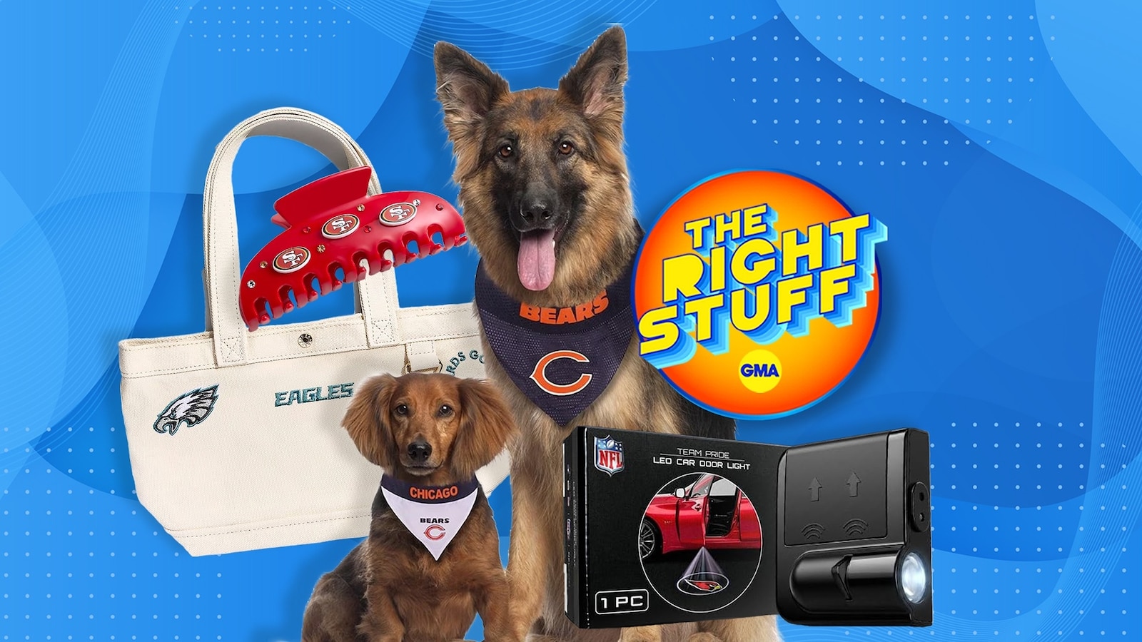 Shop top NFL fan picks