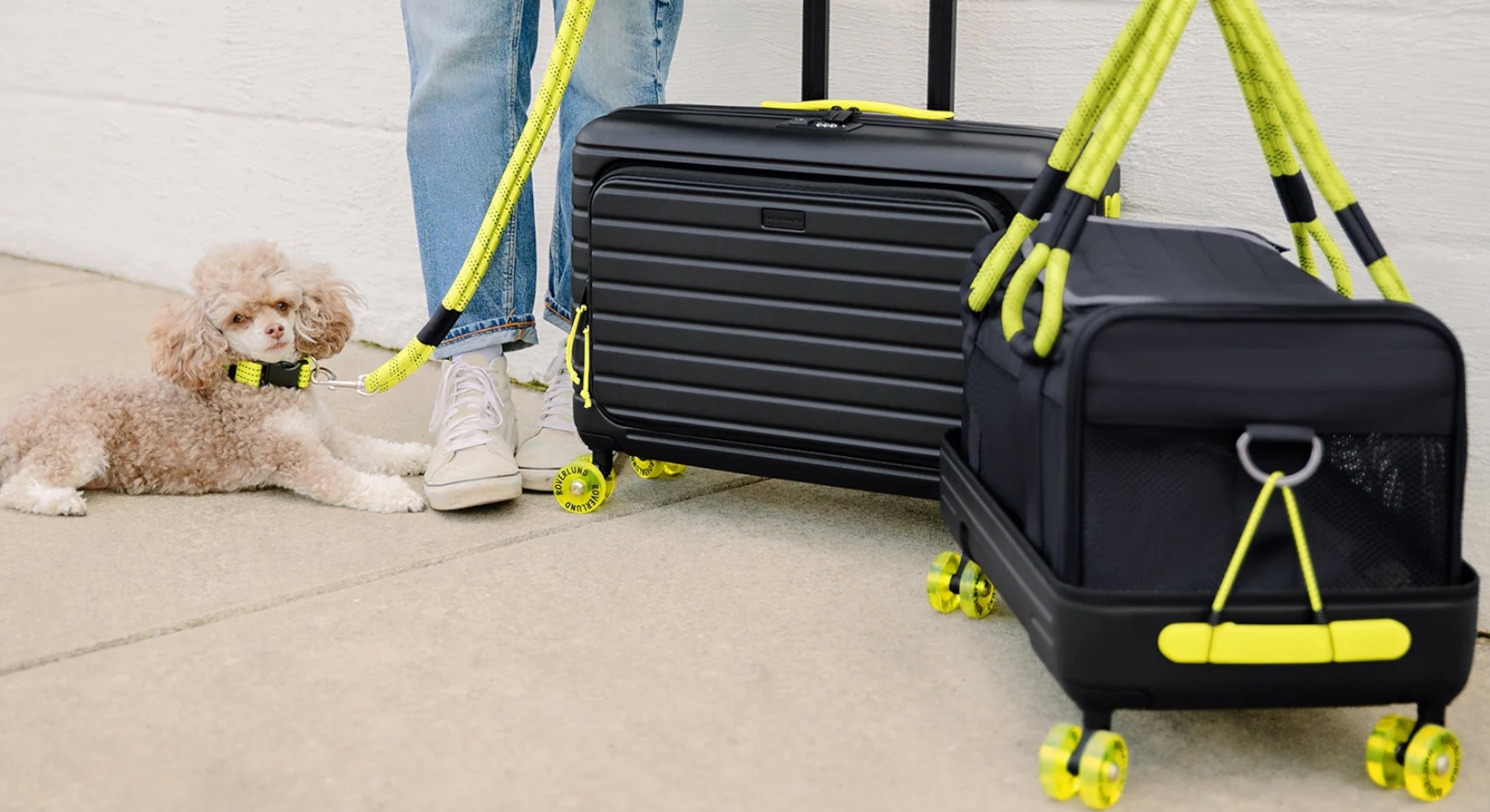 ROVERLUND: Pet Travel Accessories