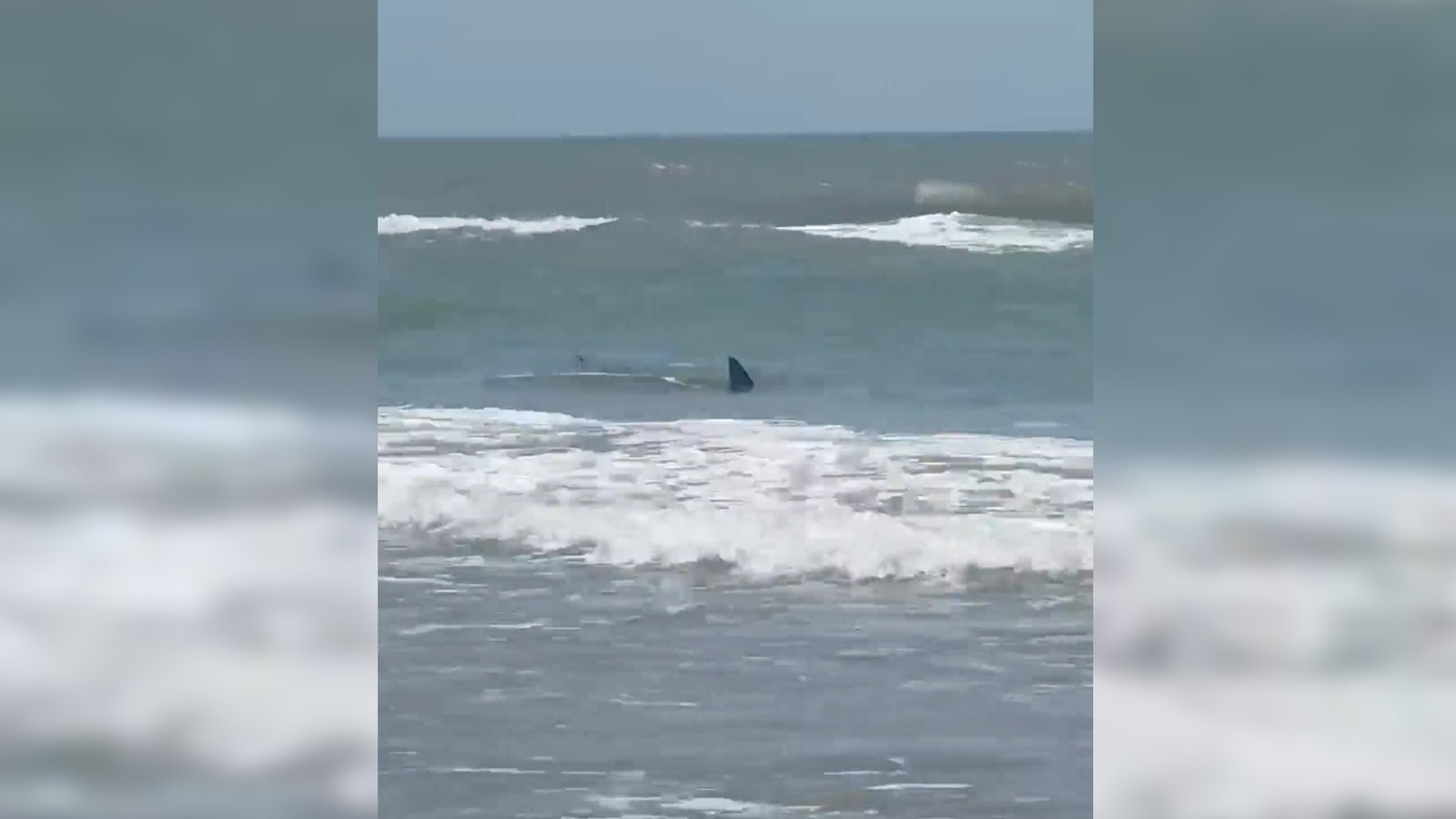 Shark believed to have injured 4 people in waters off South Padre