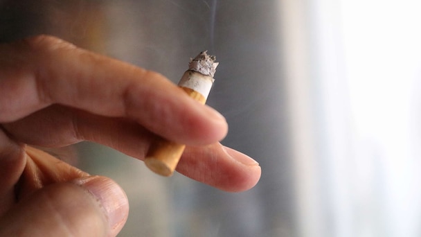 cignall tobacco prices Cignall Frankston - Reviews, Photos & Phone Number - Updated May 2026 -  Customized Merchandise Stores in City of Frankston, Victoria (VIC)