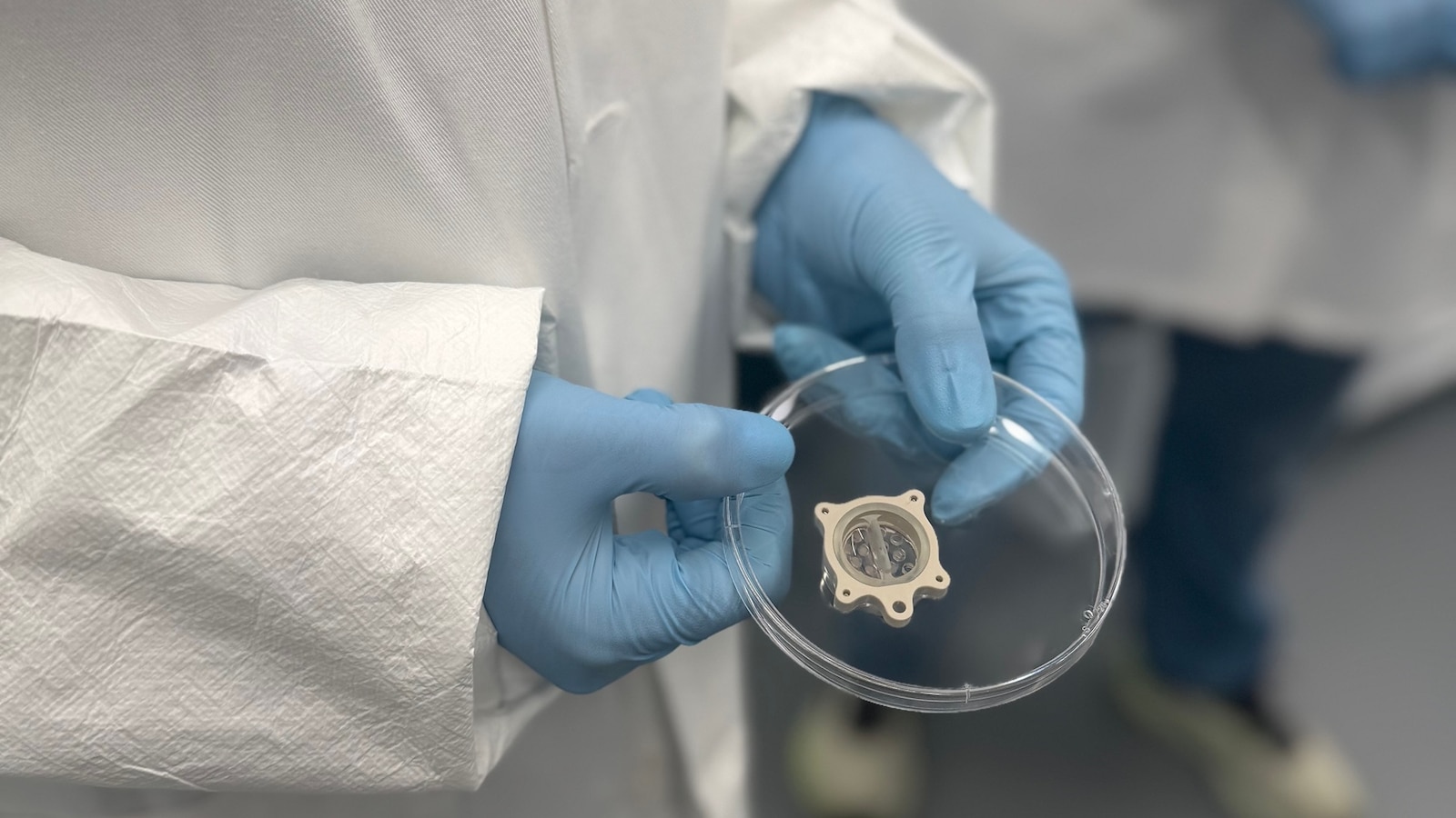 Mini organs launching to space may help future astronauts and humans on Earth stay healthy