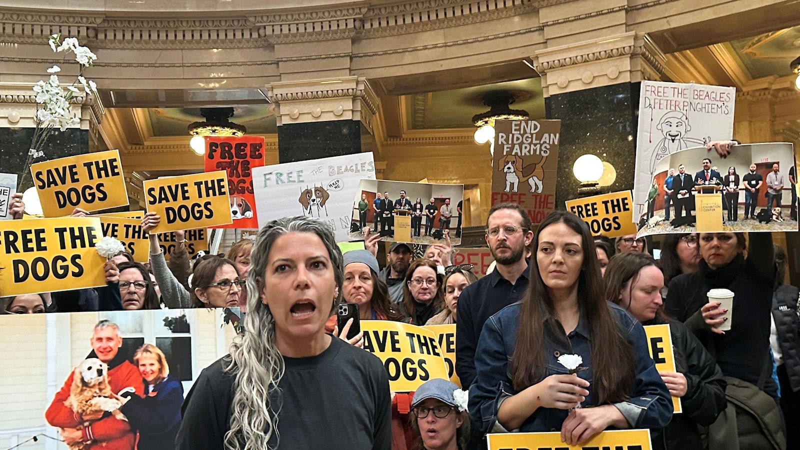 Animal welfare protesters converge on Wisconsin gov's office seeking beagles' release