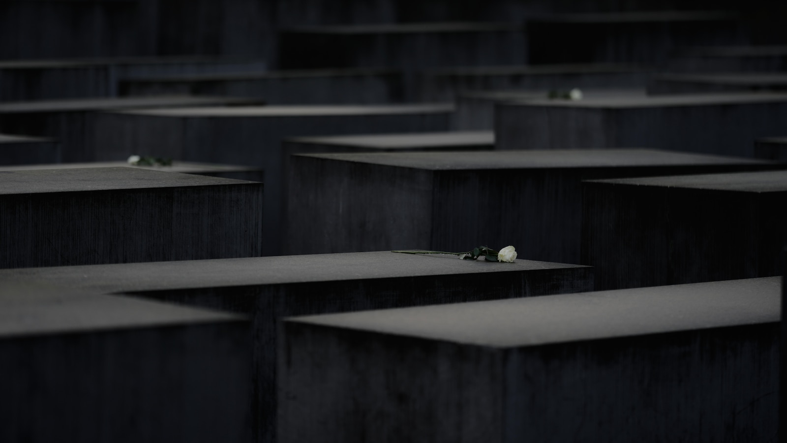 Germany to give more than  billion for Holocaust survivors’ home care in 2026 Germany to give more than  billion for Holocaust survivors’ home care in 2026