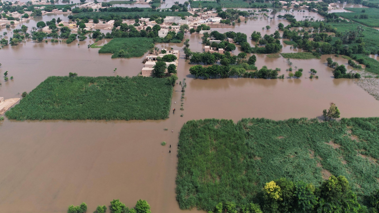 Длъжностни лица казват 4 100 села в 25 области на